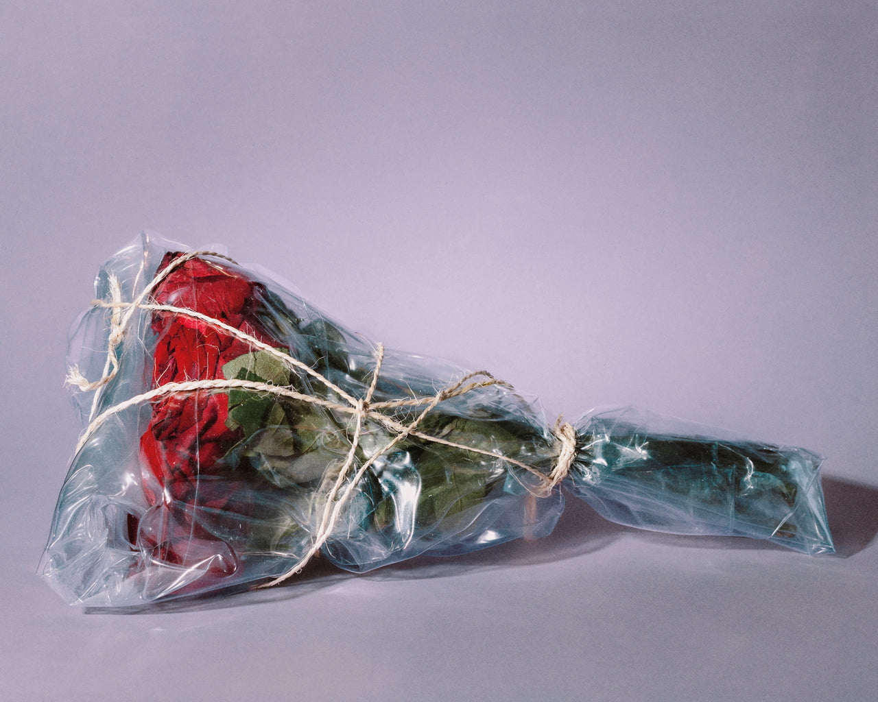 UNFOLDING 舒展 - Preserved