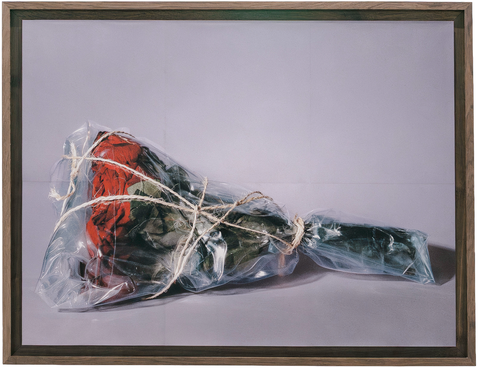 Fine art photograph by Alaïa Fonk of a bouquet of red roses wrapped in plastic and tied with rope, framed in smoked oak.